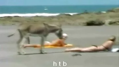 Cowboy farmer femme nue plage video coup deux tops dans les champs